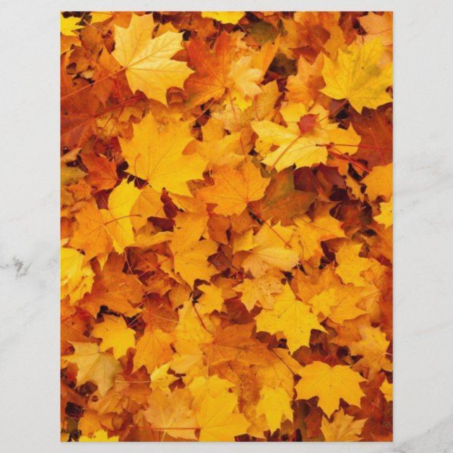 Feuilles de érable jaune d'automne (Devant)