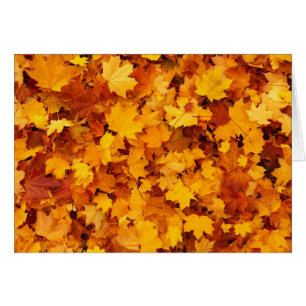 Feuilles de érable jaune d'automne