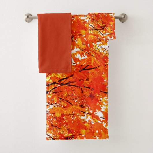 Feuilles de érable orange Saison Automne (En situation)