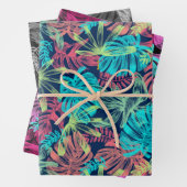 Feuilles de feuillus tropicaux (En situation)