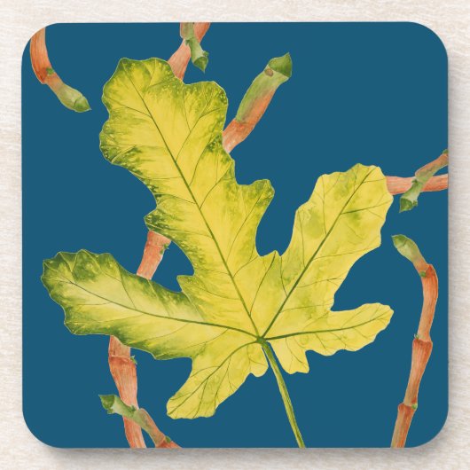 Feuilles de fig sur un jeu de Dessous de verre 6 (Devant)