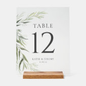 Feuilles de gomme d'eucalyptus Table Nombre de ver (Recto)