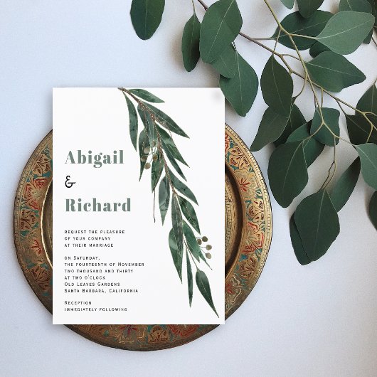 FEUILLES de la branche de l'eucalyptus BUDGET