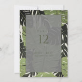 Feuilles de la jungle verte, numéro de table audac (Devant)