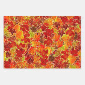 Feuilles de l'érable à la citrouille à l'automne/à (Devant)