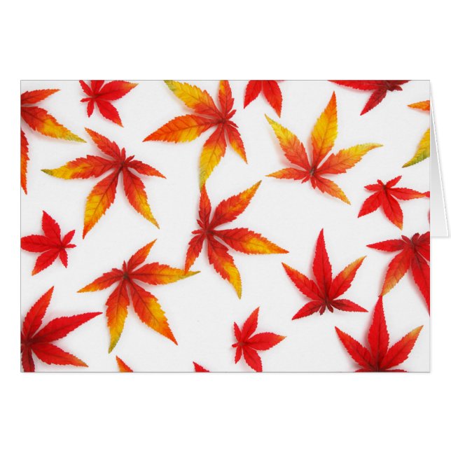 Feuilles de l'érable rouge (Devant horizontal)