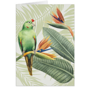 Feuilles De Palmiers Avec Oiseau Vert
