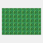 Feuilles De Palmiers Tropicaux (Devant 3)
