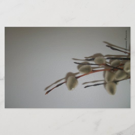 Feuilles de papeterie (PussyWillows) DDAPesigns ©️ (Devant)