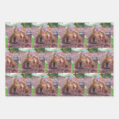 Feuilles de papier à enveloppement de dinosaure -  (Devant 2)