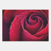 Feuilles de papier à enveloppement floral (Devant 3)