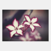 Feuilles de papier à enveloppement floral (Devant)