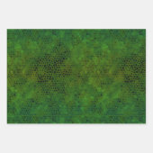 Feuilles de papier à envelopper à l'aide de dinosa (Devant 2)