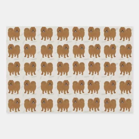 Feuilles de papier à envelopper Chow Chow (Devant 3)
