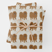 Feuilles de papier à envelopper Chow Chow (En situation)