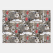 Feuilles de papier à envelopper Opossum Nature (Devant 2)