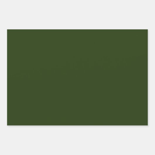 Feuilles de papier à envelopper vert clair (Devant)