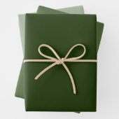 Feuilles de papier à envelopper vert clair (En situation)