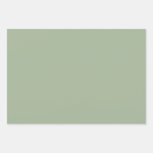 Feuilles de papier à envelopper vert clair (Devant 3)