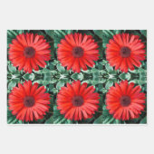Feuilles de papier cadeau botanique Daisy Orange (Devant 3)