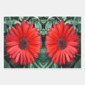 Feuilles de papier cadeau botanique Daisy Orange (Devant 2)