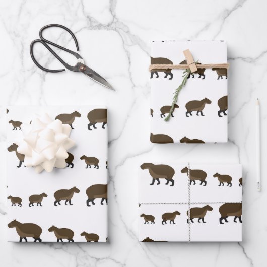 Feuilles de papier capybara enveloppant (Recto)