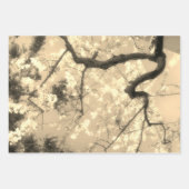 Feuilles de papier d'emballage : Collection floral (Devant 3)