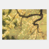 Feuilles de papier d'emballage : Collection floral (Devant)