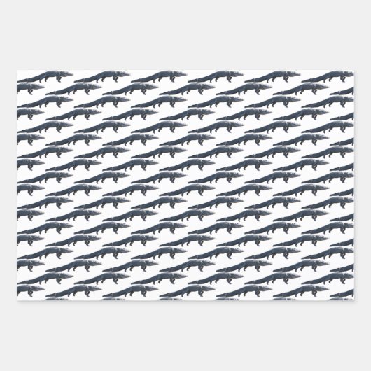 Feuilles de papier d'enrobage à pied (Devant 2)