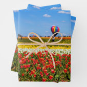 Feuilles de papier d'enrobage des tulipes de print (En situation)