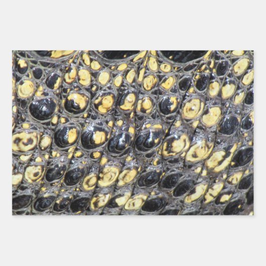 Feuilles de papier d'enrobage Gator - 3 ensembles (Devant 2)