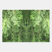 Feuilles de papier d'enveloppement de cadeaux bota (Devant 2)