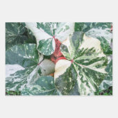 Feuilles de papier d'enveloppement de cadeaux bota (Devant)