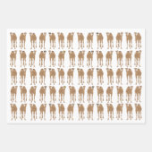 Feuilles de papier d'enveloppement de chameaux (Devant 3)