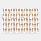 Feuilles de papier d'enveloppement de chameaux (Devant 2)