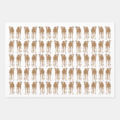 Feuilles de papier d'enveloppement de chameaux (Devant)