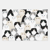 Feuilles de papier d'enveloppement de chats et de  (Devant 3)