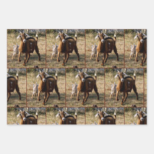 Feuilles de papier d'enveloppement de chèvre mamma