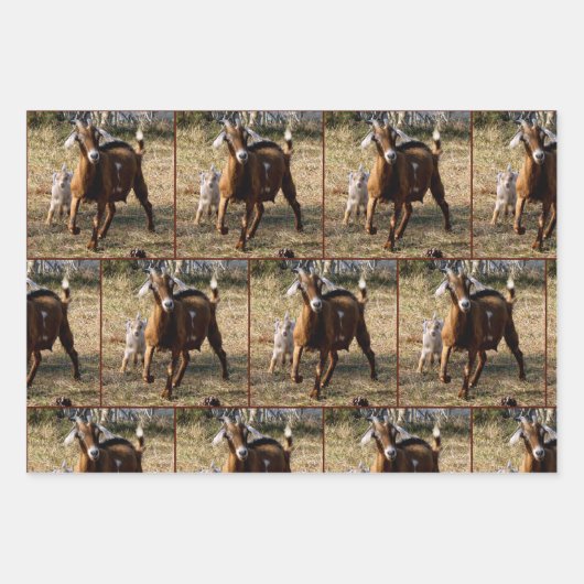 Feuilles de papier d'enveloppement de chèvre mamma (Devant)