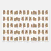 Feuilles de papier d'enveloppement de Norwich Terr (Devant)