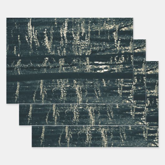 Feuilles de papier d'enveloppement de photos de la (Lot)