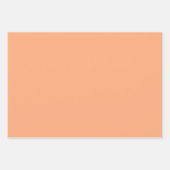 Feuilles de papier d'enveloppement d'oies d'aquare (Devant 2)