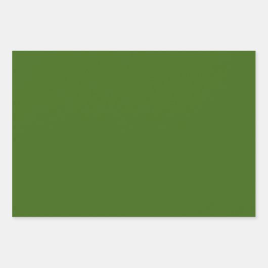 Feuilles de papier écorce en or noir vert (Devant 2)