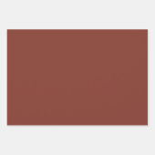 Feuilles de papier enrobées II (Devant 2)