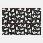 Feuilles de papier enveloppant des canicules de No (Devant 3)