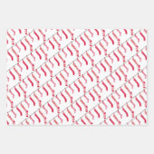 Feuilles de papier enveloppant les restes rouges d (Devant 2)