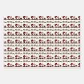 Feuilles de papier pour enveloppement de hérisson (Devant 2)