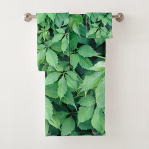 Feuilles de raisins verts
