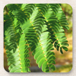 Feuilles de soie Perse Dessous de verre en plastiq