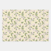 Feuilles d'enveloppement d'anniversaire de citron  (Devant 2)